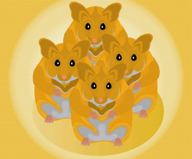 Hamster clipart