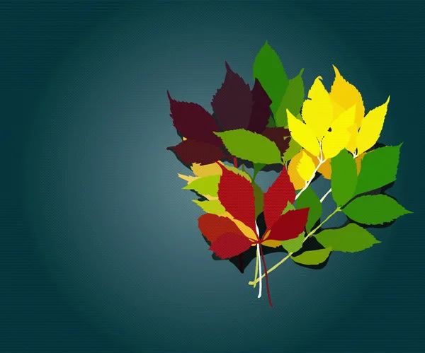 秋を葉します。 — ストックベクタ