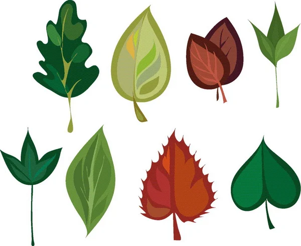 Листья — стоковый вектор