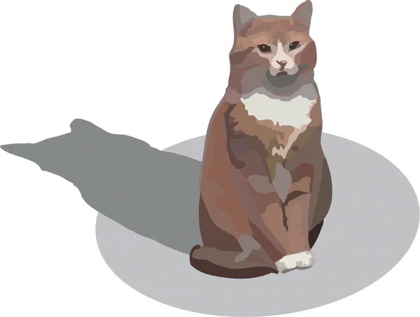 Nästan röd katt — Stock vektor