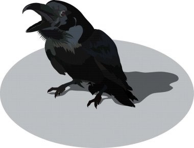 Raven clipart