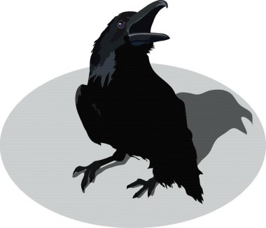 Raven clipart