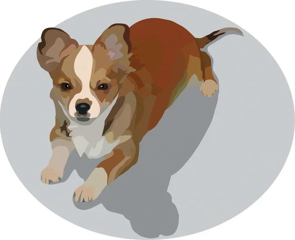 Petit chien — Image vectorielle