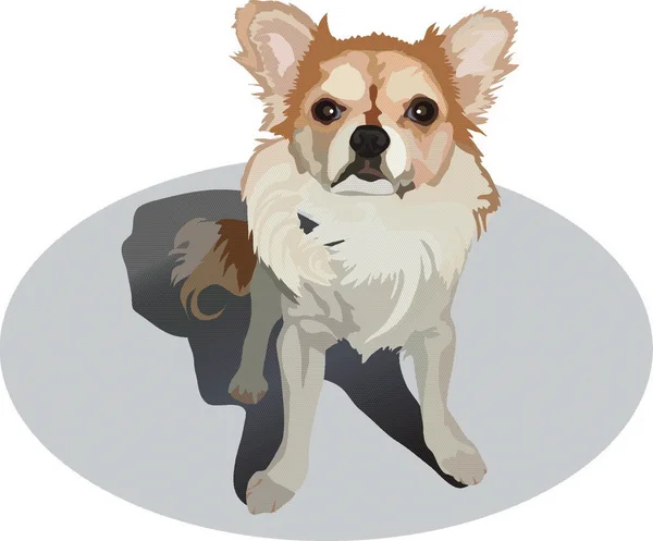 Petit chien — Image vectorielle