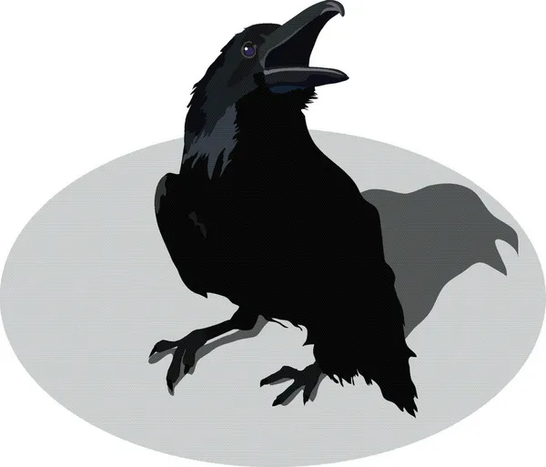 Raven — Stock Vector