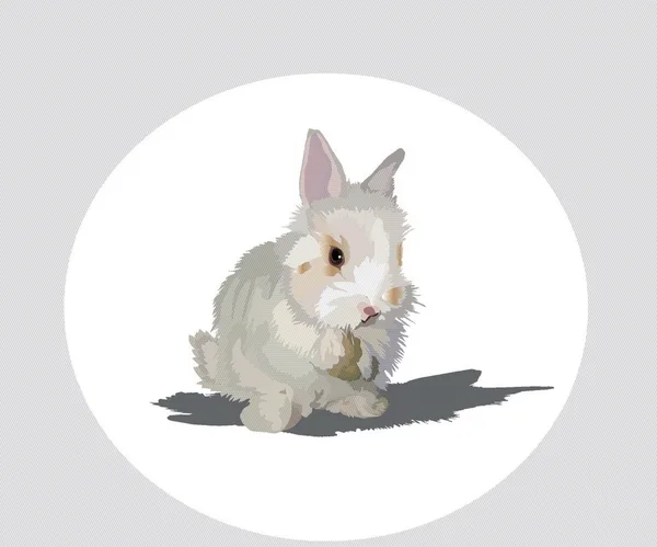 Conejo — Archivo Imágenes Vectoriales