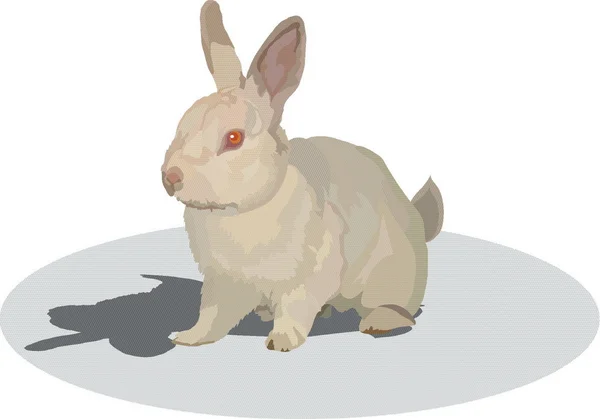 Кролик — стоковый вектор