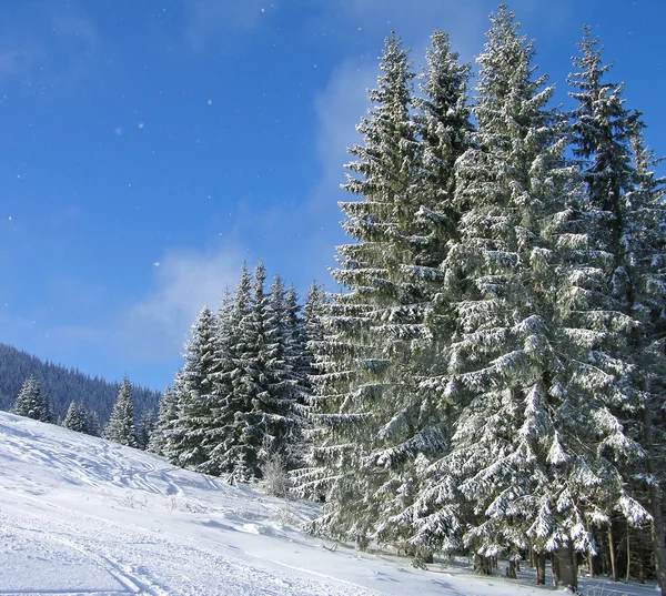 Vinter i carpathian berg — Stockfoto