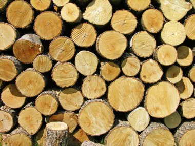 Pile of firewood clipart