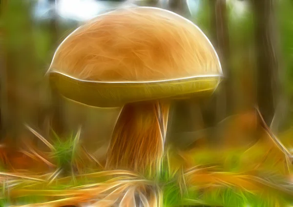 抽象的分形图像与蘑菇 — 图库照片