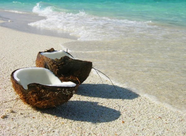 Opened coconut on the beach — Stock Photo, Image