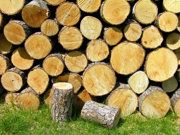 stock image Pile of firewood on the grass