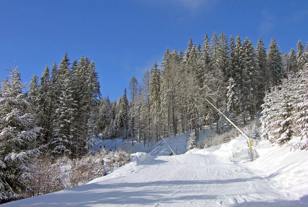 山中の下り坂のスキー ルート — ストック写真