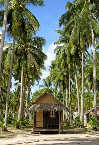海滩和棕榈树和小屋 — 图库照片