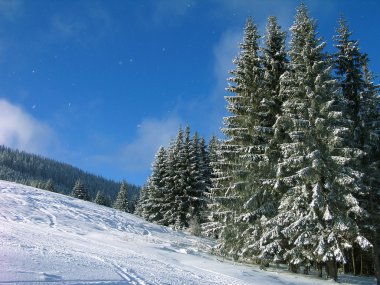 Carpathian mountains, Ukraine clipart