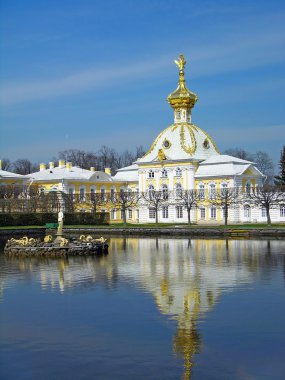 West wing of the Big Palace in Peterhof clipart