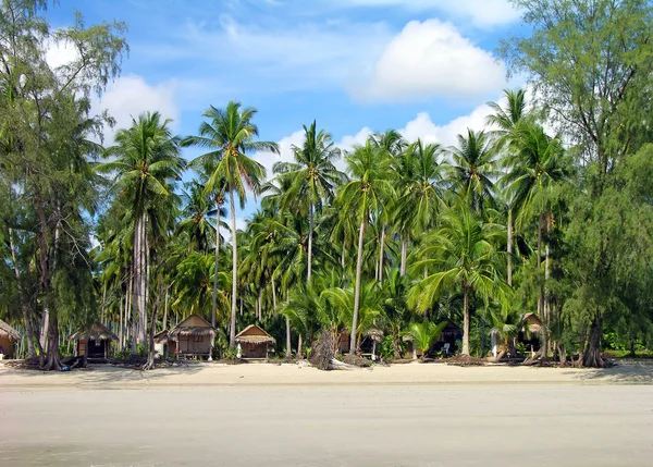 Plage tropicale avec bungalows et palmiers — Photo