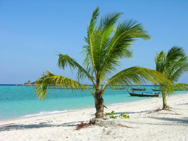 palmiye ağaçları, Tayland ile tropikal plaj