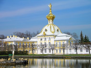 West wing of the Big Palace in Peterhof clipart