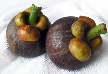 Mangosteen fruits clipart