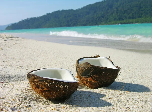 Öppnade kokos på stranden — Stockfoto