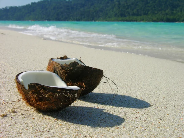 Geöffnete Kokosnuss am Strand — Stockfoto