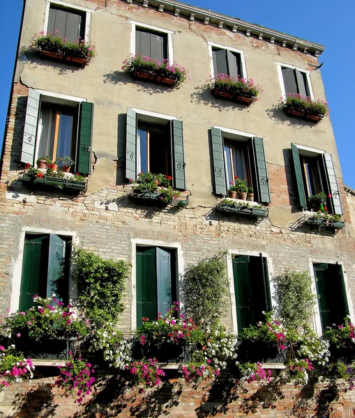 Italiensk fönstren med blommor, Venedig — Stockfoto