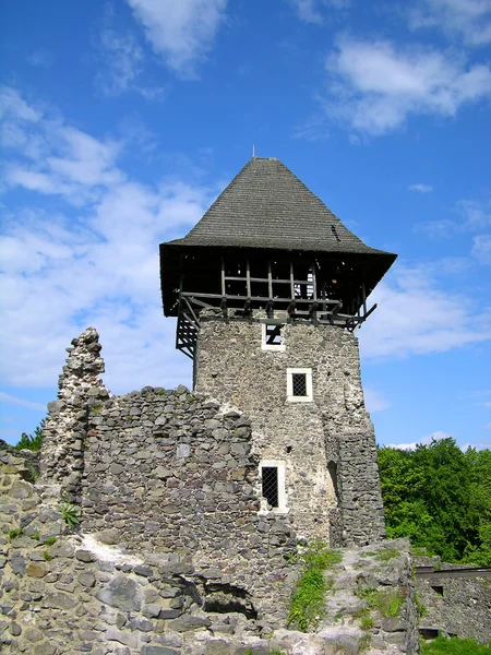 Nevitskiy hrad poblíž Užhorod, Ukrajina — Stock fotografie
