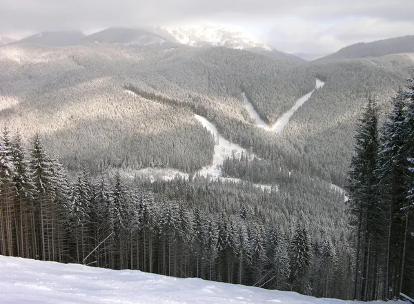 Trilhas de esqui Bukovel, Cárpatos, Ucrânia — Fotografia de Stock