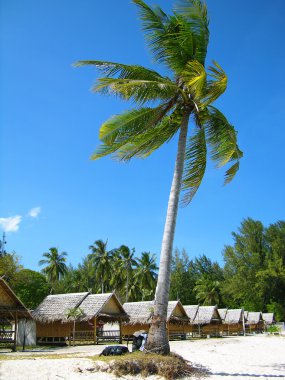 Beach of tropical island, Thailand clipart