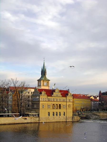 Argine del fiume Moldava, Praga — Foto Stock