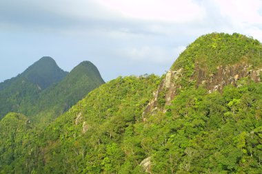 Rainforest hills, langkawi, Malezya