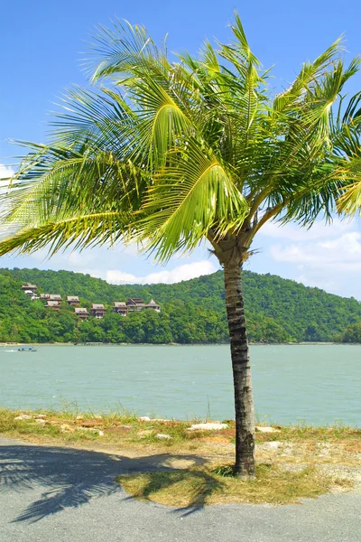 Paisagem tropical, Langkawi — Fotografia de Stock