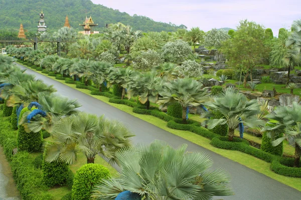 Сад Нонг Нуч, Таиланд — стоковое фото