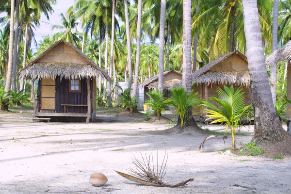 Пляж с хижинами и кокосовыми пальмами — стоковое фото