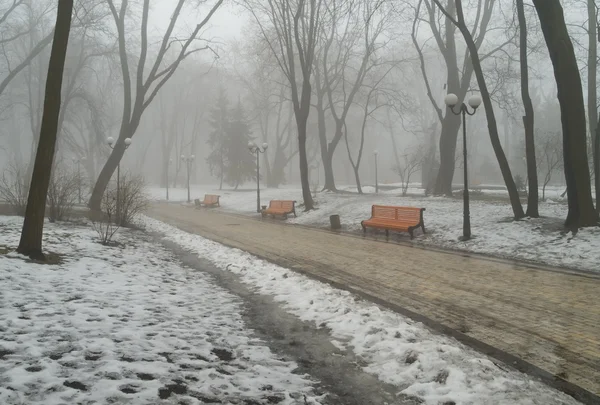 Stock image Spring morning fog