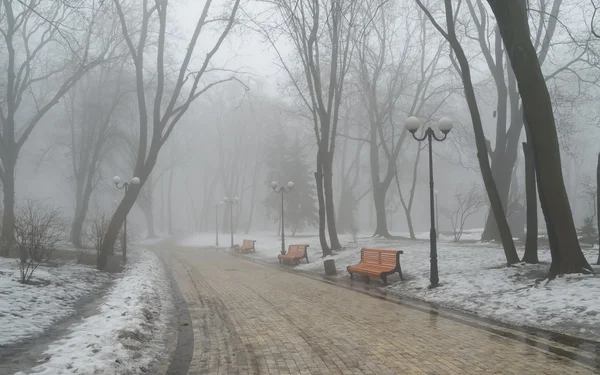 stock image Spring morning fog