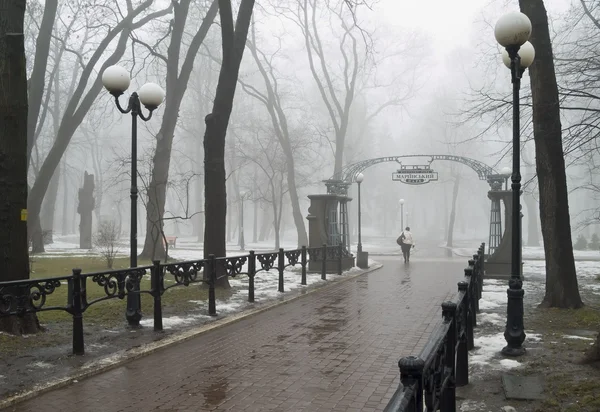 stock image Foggy park