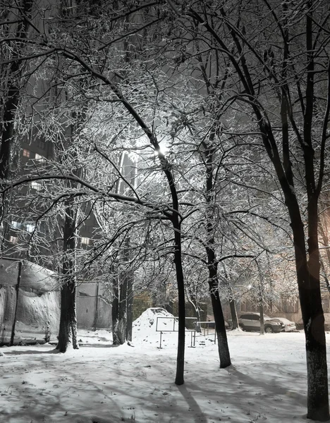 Kiev in snowy night — Stock Photo, Image