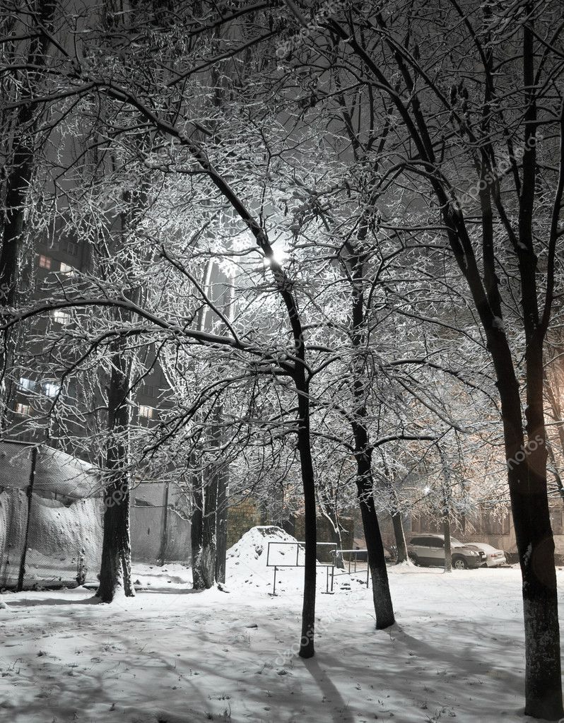 Kiev in snowy night — Stock Photo © oleg_n #2561650