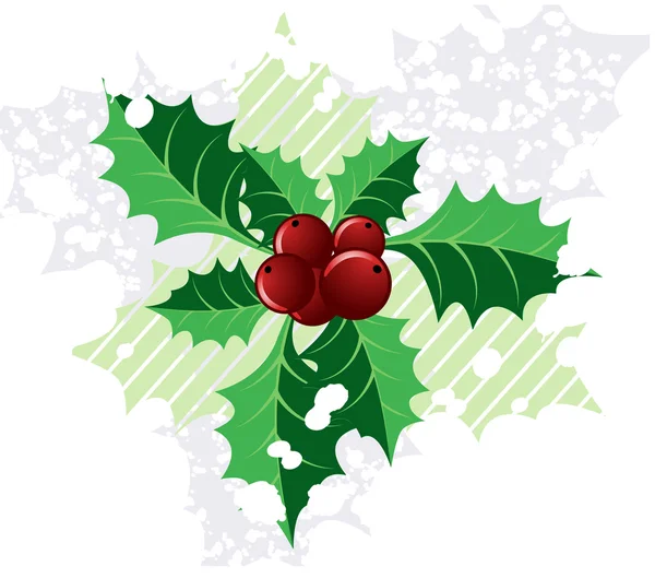 Christmas holly, — Stock Photo, Image