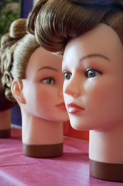 stock image Samples of hairdresses on dummies in a h