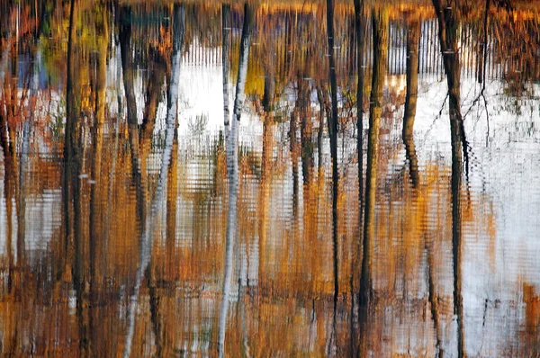 Reflexion of autumn trees in water — Stock Photo, Image
