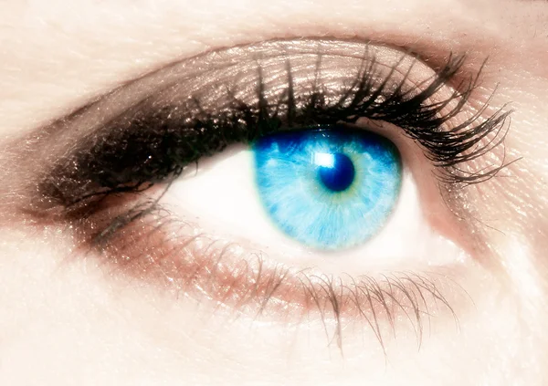 Kvinnliga ögat av blå färg på nära håll — Stockfoto