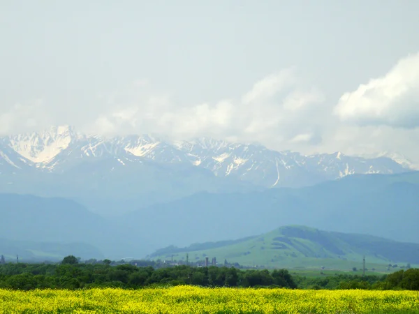Summer landscape against mountains — Stock Photo, Image