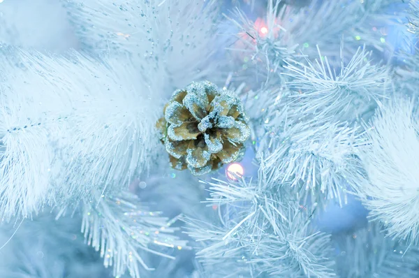 O cone entre ramos de neve — Fotografia de Stock