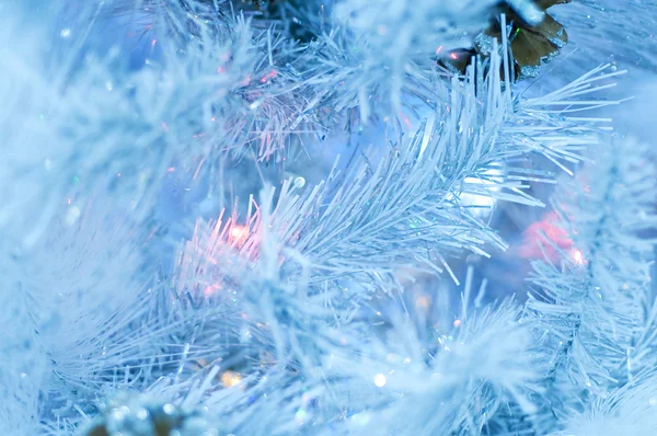 Fur-tree covered with hoarfrost — Stock Photo, Image