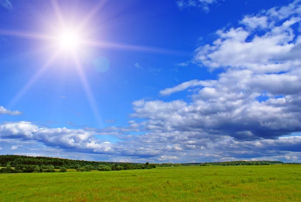Sunny landscape — Stock Photo, Image