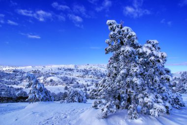 Winter landscape clipart