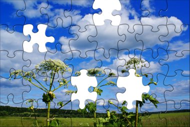 Puzzle landscape clipart